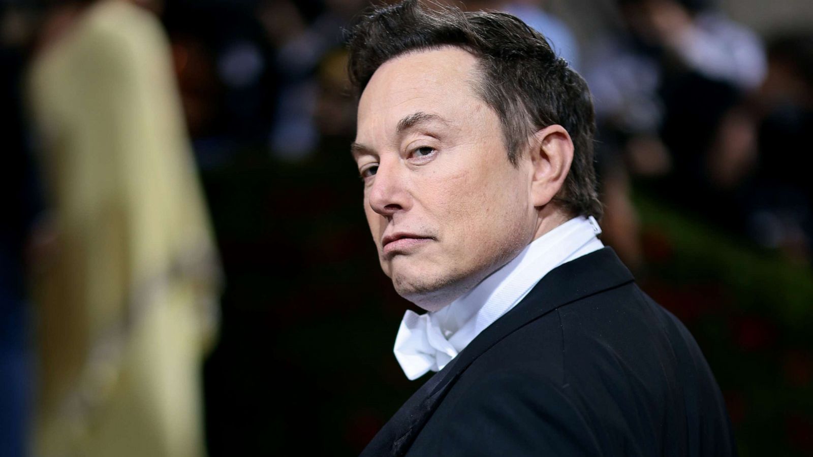 Mengapa Elon Musk Dikenal Sebagai Inovator Genial? Mengupas Latar Belakang dan Bakatnya yang Luar Biasa